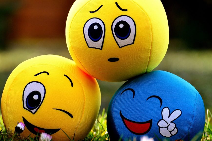 Quel est le rôle des émotions ?